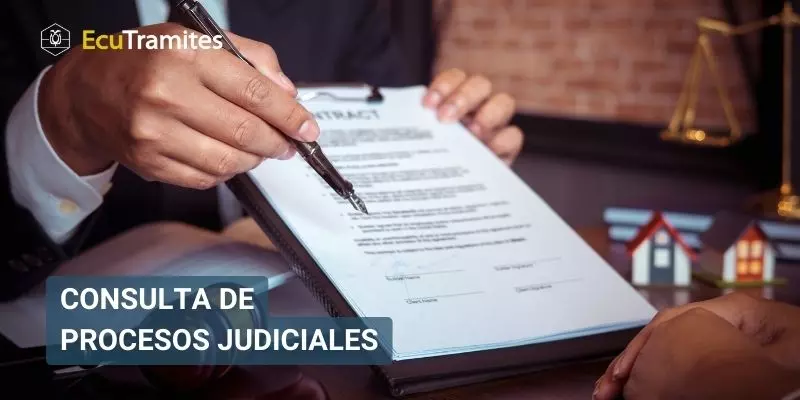 Consulta de procesos judiciales