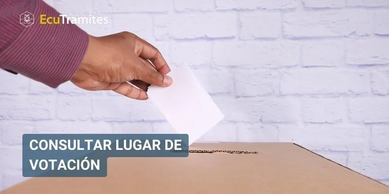 Consultar lugar de votación