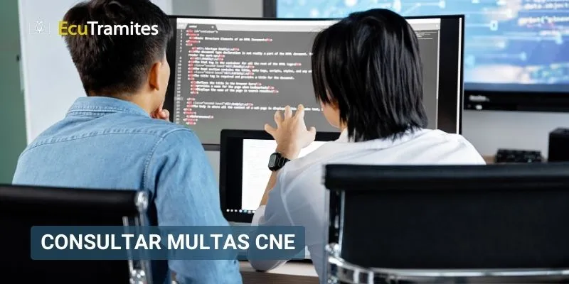 Consultar multas CNE